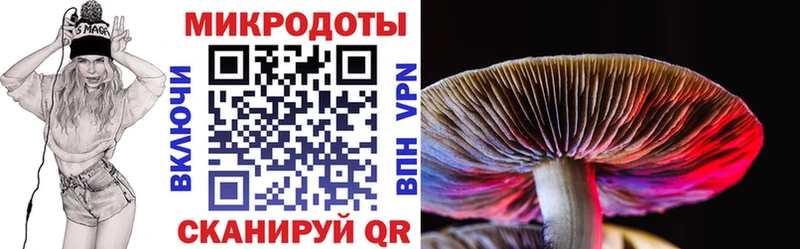 Псилоцибиновые грибы Psilocybine cubensis  Купить  Бор 