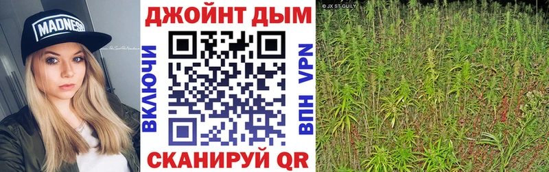 Купить где  Бор  МАРИХУАНА ГИДРОПОН 